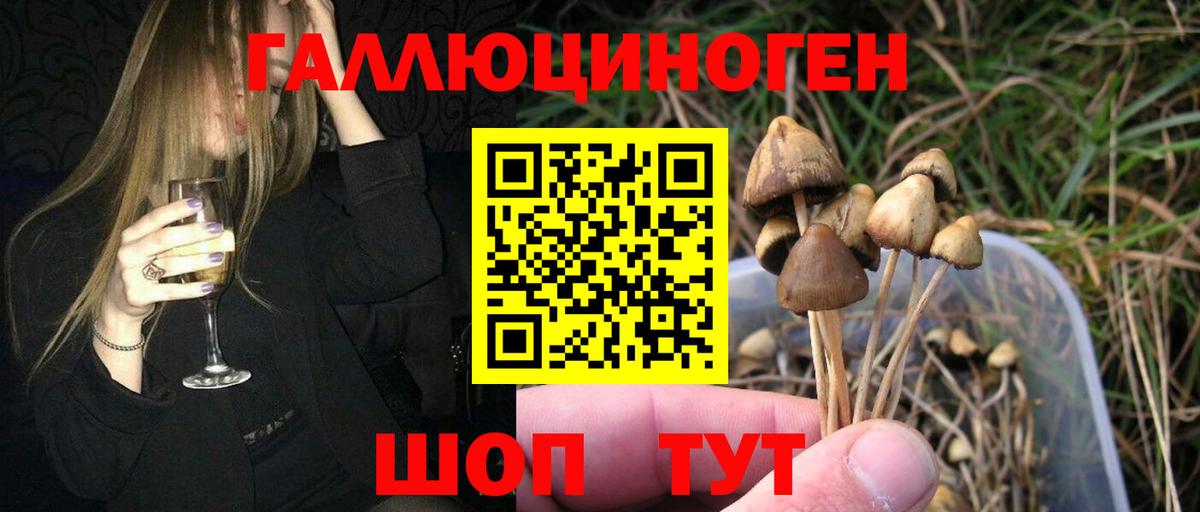 Псилоцибиновые грибы мухоморы Бор