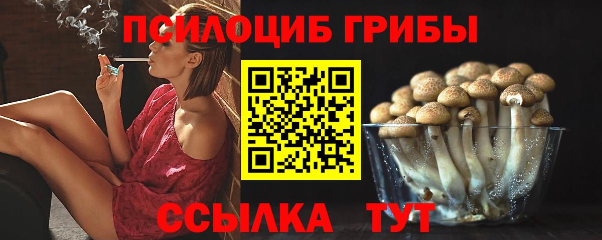 Галлюциногенные грибы MAGIC MUSHROOMS  Галлюциногенные грибы Psilocybe  Вход с VPN  Бор 